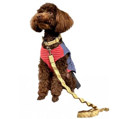 ふるさと納税 あきる野市 [創業48年]ドッグウェアブランドの「日本製 プリーツ リード&amp;首輪セット」(ゴールド)