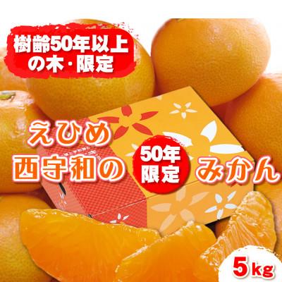 ふるさと納税 八幡浜市 みさき果樹園の段々畑育ち 西宇和産みかん5kg[C21-47]