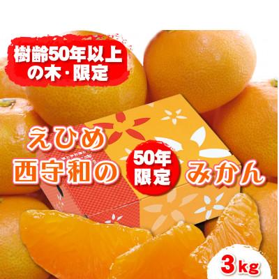 ふるさと納税 八幡浜市 みさき果樹園の段々畑育ち 西宇和産みかん3kg[B21-48]