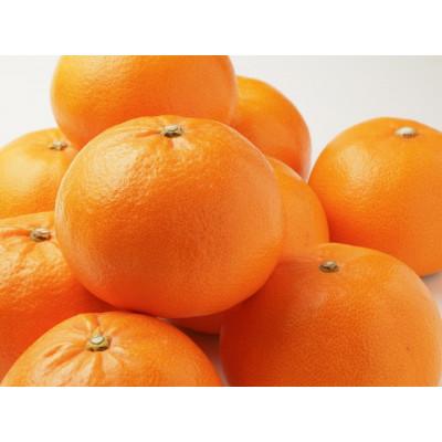 ふるさと納税 今治市 [宗方印][数量限定]せとか 約1.5kg(家庭用) [K003570K1.5]