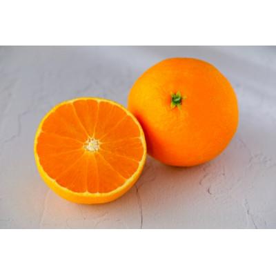 ふるさと納税 今治市 [宗方印][数量限定]宗方のまどんな 約1.5kg(家庭用) [K003600K1.5]