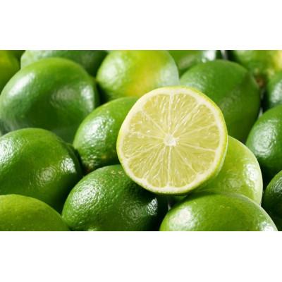 ふるさと納税 今治市 [宗方印][数量限定]ライム 約1kg(家庭用) [K003610K1]