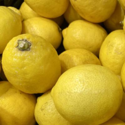 ふるさと納税 今治市 [宗方印][数量限定]レモン 約1.5kg(家庭用) [K003620K1.5]