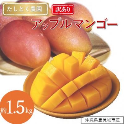 ふるさと納税 豊見城市 [2026年発送]★訳あり★沖縄県豊見城市産アップルマンゴー 約1.5kg