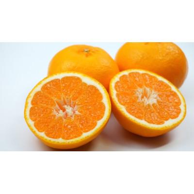 ふるさと納税 今治市 [宗方印][数量限定]はれひめ 約3kg(家庭用) [K003590K3]