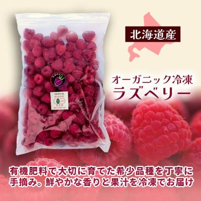 ふるさと納税 帯広市 有機JAS認証 冷凍ラズベリー2種食べ比べ 1kg