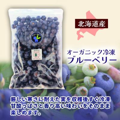 ふるさと納税 帯広市 有機JAS認証 冷凍ブルーベリー1kg(500g×2袋)【北海道十勝産】 |  | 01