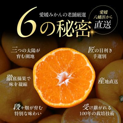 ふるさと納税 八幡浜市 老舗農家が見極めたプレミアム【愛媛みかん20kg】【愛媛県川上産】【H70-106】_1