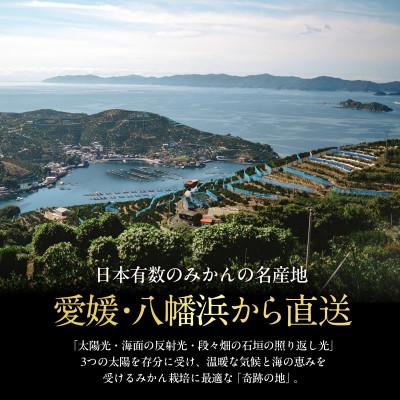 ふるさと納税 八幡浜市 老舗農家が見極めたプレミアム【愛媛みかん20kg】【愛媛県川上産】【H70-106】_3