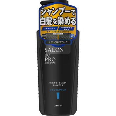 ふるさと納税 稲沢市 ダリヤ サロン ド プロ メンズカラーシャンプー