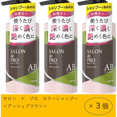 ふるさと納税 稲沢市 ダリヤ サロン ド プロ カラーシャンプー&amp;トリートメント[アッシュブラウン]各3個セット