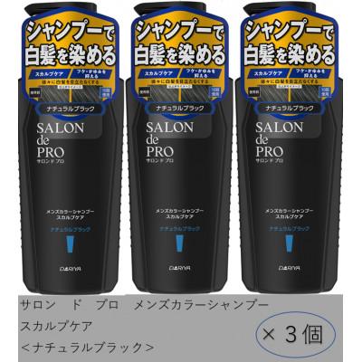ふるさと納税 稲沢市 ダリヤ サロンドプロ メンズカラーシャンプー&amp;カラートリートメント[ナチュラルブラック]各3個セット