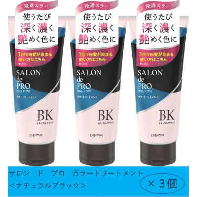 ふるさと納税 稲沢市 ダリヤ　サロンドプロ　メンズカラーシャンプー&カラートリートメント《ナチュラルブラック》各3個セット_1