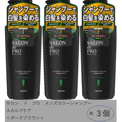 ふるさと納税 稲沢市 ダリヤ サロン ド プロ メンズカラーシャンプー&amp;カラートリートメント[ダークブラウン]各3個セット