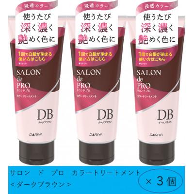 ふるさと納税 稲沢市 ダリヤ　サロン ド プロ　メンズカラーシャンプー&カラートリートメント《ダークブラウン》各3個セット_1