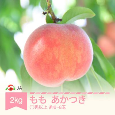 ふるさと納税 村山市 令和8年産 桃 あかつき ◯秀以上 約6〜8玉 計約2kg