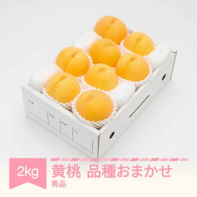 ふるさと納税 村山市 [先行受付] 有袋黄桃 秀品 品種おまかせ 化粧箱入り 約2kg 令和8年産