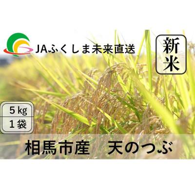 ふるさと納税 相馬市 令和7年度産[新米]JAふくしま未来 福島県産『天のつぶ』5kg