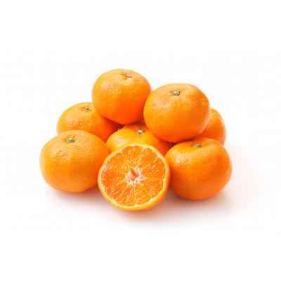 ふるさと納税 紀美野町 訳あり 家庭用 有田みかん 和歌山 小玉(2S,3Sサイズ混合) 3kg