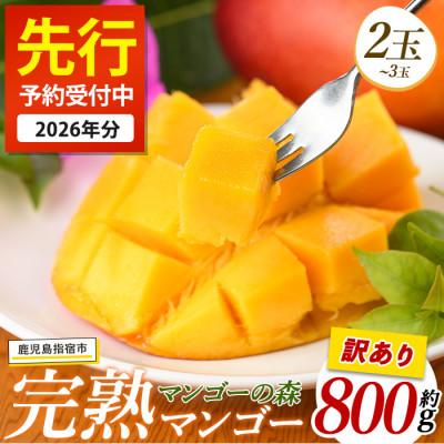 ふるさと納税 指宿市 [2026年7月上旬頃より順次発送][訳あり]しあわせ完熟マンゴー 約800g(016-2055)