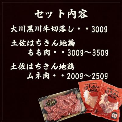 ふるさと納税 須崎市 大川黒毛和牛切り落とし 300gと土佐はちきん地鶏 胸肉・モモ肉 各1枚 セット