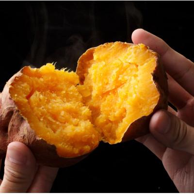 ふるさと納税 中種子町 安納いも(10kg) / 種扇糖(300g×2)