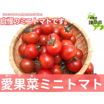 ふるさと納税 諫早市 愛果菜ミニトマト〜rich〜2セット