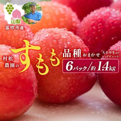 ふるさと納税 笛吹市 [2026年先行予約]すもも 品種おまかせ 6パック 約1.4kg 産地直送 村松農園 笛吹市