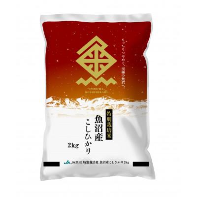 ふるさと納税 十日町市 [令和7年産新米]特栽米 魚沼産こしひかり 精米 2kg