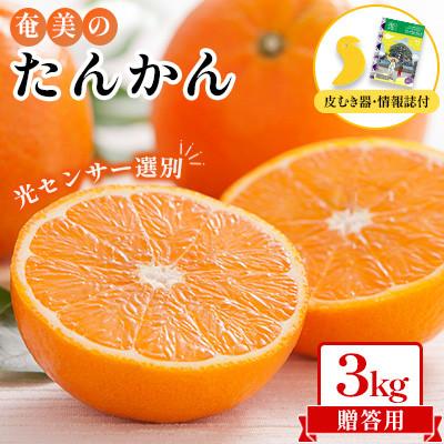 ふるさと納税 奄美市 2026年産 奄美のたんかん贈答用3kg(皮むき器・観光情報誌付)