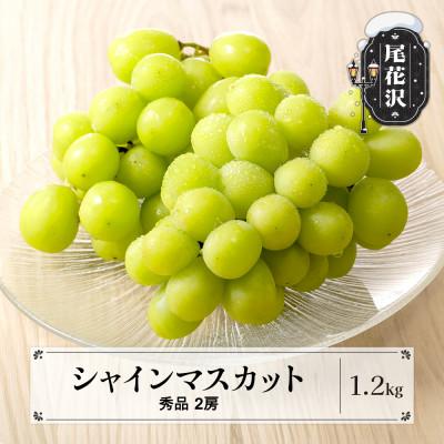 ふるさと納税 尾花沢市 先行受付 シャインマスカット 秀品 2房(計1.2kg) 令和8年産 ns-busmx1200