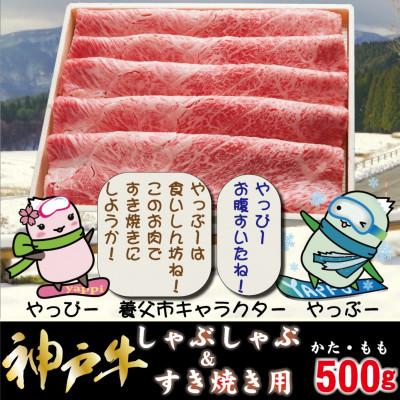 ふるさと納税 養父市 神戸牛 しゃぶしゃぶ &amp; すき焼き用 計500g YBS2 [2026年4月より順次発送]