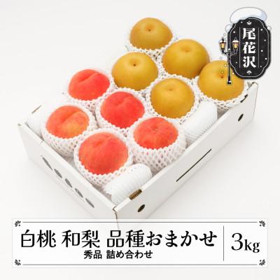 ふるさと納税 尾花沢市 先行受付 白桃&amp;和梨 秀品 詰め合わせ 品種おまかせ 計3kg 令和8年産 山形県産