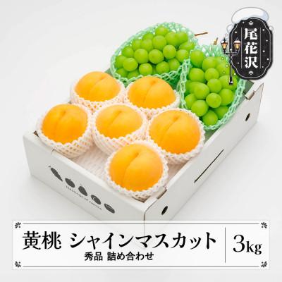 ふるさと納税 尾花沢市 先行受付 有袋黄桃 シャインマスカット 秀品 詰め合わせ 計3kg 令和8年産 山形県産