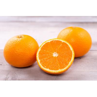 ふるさと納税 広川町 [先行受付]秀品 きよみ 清見オレンジ 和歌山 有田 S〜2Lサイズ 大きさお任せ 3kg