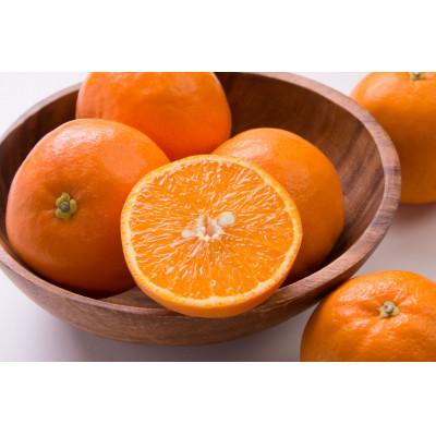 ふるさと納税 広川町 [先行受付]秀品 セミノール 和歌山 有田 S〜3Lサイズ 大きさお任せ 約3kg