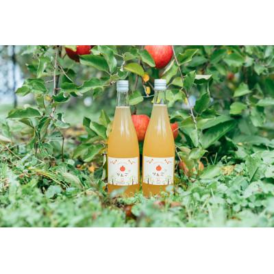 ふるさと納税 寒河江市 完熟りんごジュース 720ml×2本セット