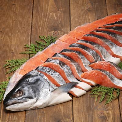 ふるさと納税 石狩市 [佐藤水産] 北海道産秋鮭の熟成新巻鮭 1尾(姿切身/真空パック) 1.8kg