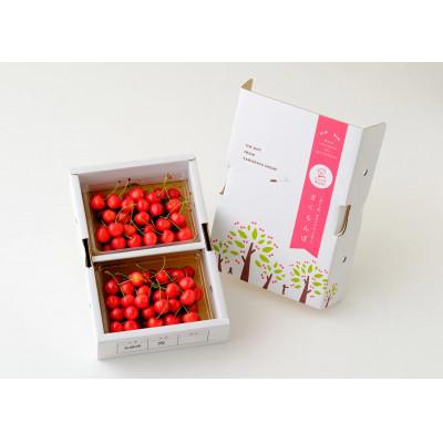 ふるさと納税 寒河江市 [令和8年産先行予約]朝摘み紅秀峰 3L玉 600g(300g×2パック)