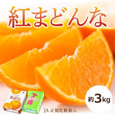 ふるさと納税 松山市 [2025年12月〜1月頃から発送予定]紅まどんな(JA正規化粧箱入り)約3kg