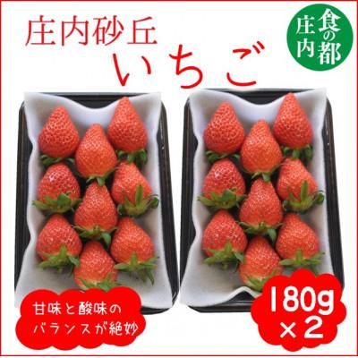 ふるさと納税 三川町 庄内砂丘のいちご2パック(2L〜L)やや小粒も含む ※2026年1月中旬頃〜順次配送