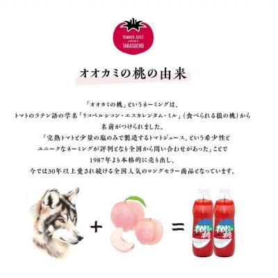 ふるさと納税 鷹栖町 【令和8年度】9月発送 〔無塩〕国産トマト