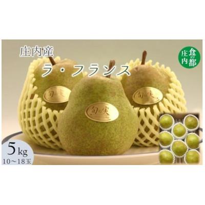 ふるさと納税 三川町 庄内の洋梨「ラ・フランス」約5kg※11月上旬〜配送 (HS4-283)