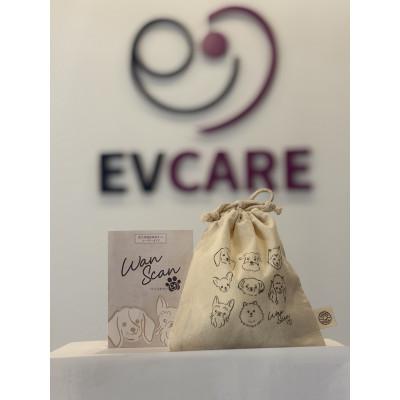 ふるさと納税 大津市 Wan Scan 愛犬用健康検査キット