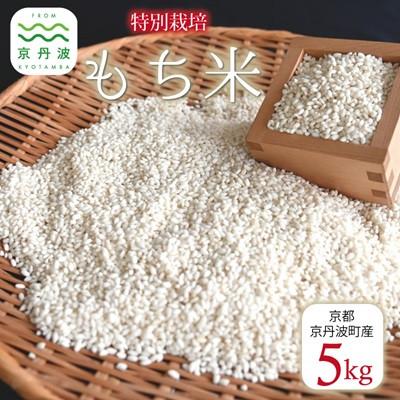 ふるさと納税 京丹波町 特別栽培 もち米 5kg