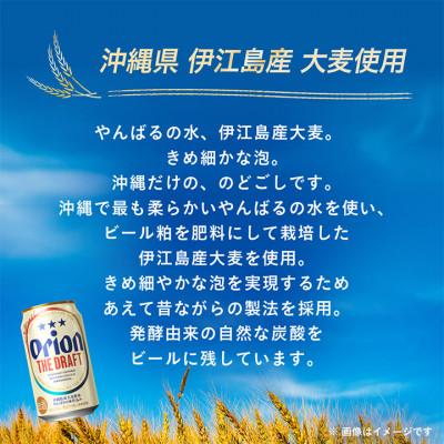 ふるさと納税 中城村 オリオン ザ・ドラフト 1ケース(500ml×24本)オリオンビール |  | 02