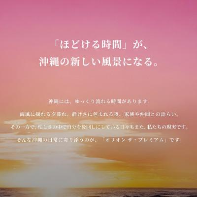 ふるさと納税 中城村 オリオン ザ・プレミアム 1ケース(500ml×24本)オリオンビール |  | 02