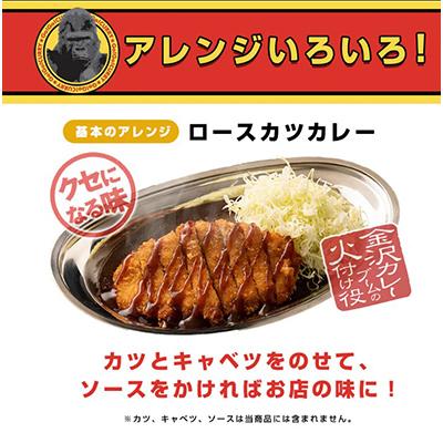 ふるさと納税 富山県 「元気の源」　ゴーゴーカレー中辛　10袋　レトルト　くせになる味 |  | 03