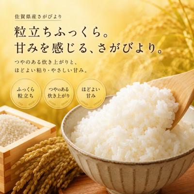 ふるさと納税 佐賀県 令和7年産 さがびより 白米5kg 五つ星お米マイ