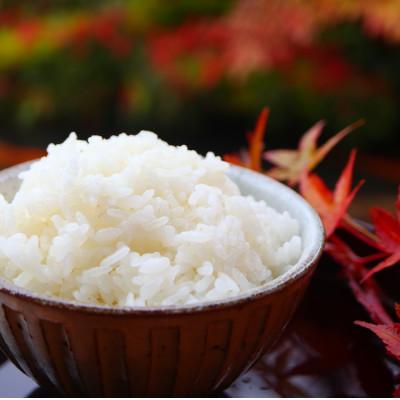 ふるさと納税 新庄市 至福のササニシキ(精米)3kg